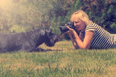 Köpek resmini alma