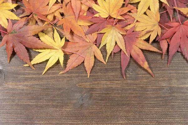 Ahşap bir masa üst tarafındaki akçaağaç yaprakları — Stok fotoğraf