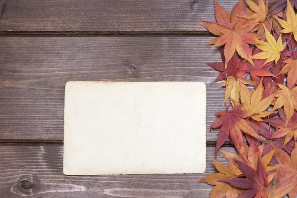 Foto vintage en blanco concepto de otoño —  Fotos de Stock