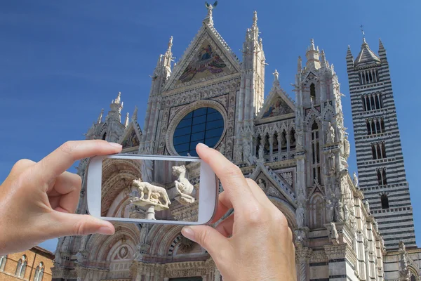 Taking picture of cathedral in Siena (Italy) — Stock Photo, Image