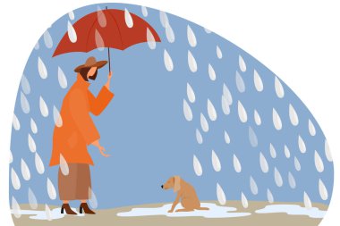 Yağmurda şemsiyesi olan bir kadın başıboş bir köpeğe bakar..