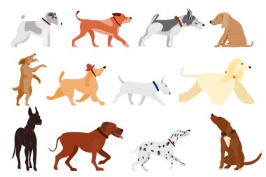 Farklı pozlarda farklı cinslerden bir çift köpek. Beyaz renkte izole edilmiş düz bir vektör. Tasmalı evcil hayvanlar. Köpekler koşar ve oturur..