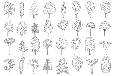 Farklı şekillerde taçlandırılmış ağaçlar. Yaprak döken ve kozalaklı ağaçların karışımı. Vektörü beyaz, dış hat biçiminde izole et.