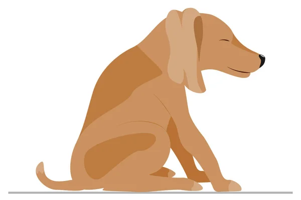 Cão Senta Nas Patas Traseiras Sorri Pet Envia Comida Vetor — Vetor de Stock