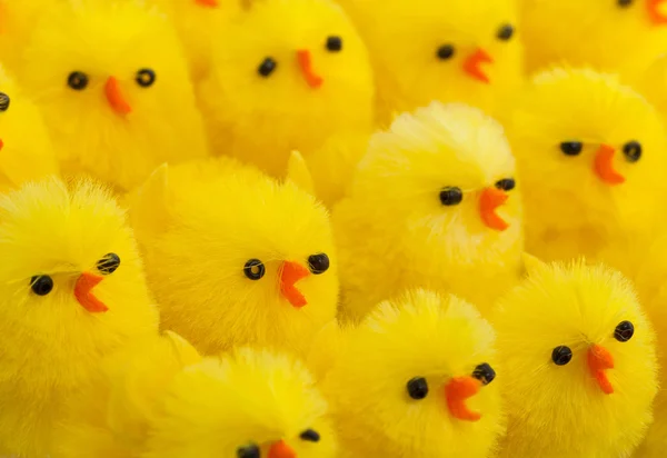 Överflöd av påsk kycklingar, selektiv inriktning — Stockfoto