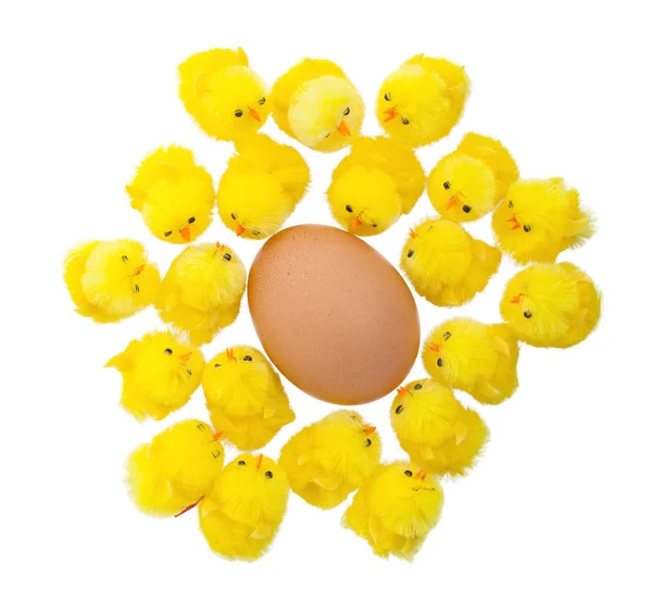 Single easter chick with a large egg — Stock Photo, Image