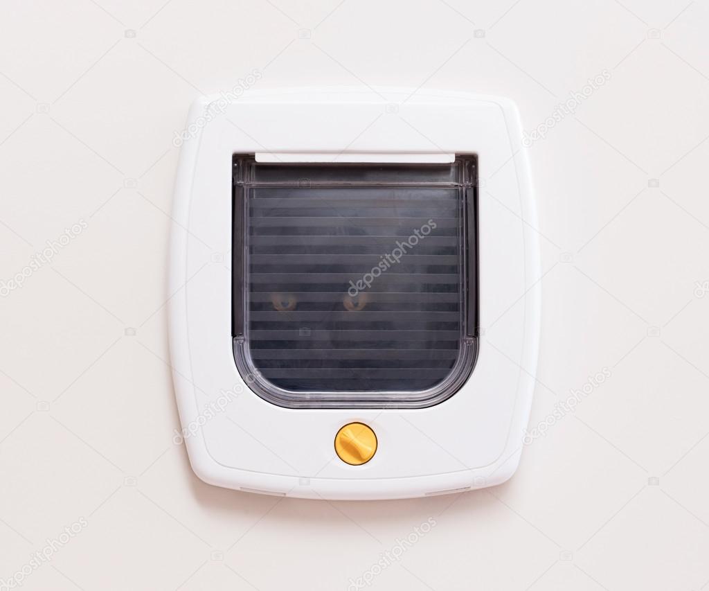 Inside view of a regular white cat flap, cat comming through