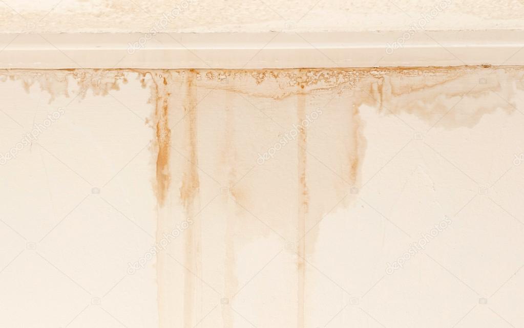 Water damaged ceiling and wall