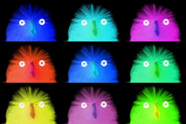 Koleksiyon Paskalya civciv, yakın çekim