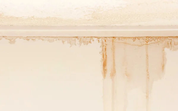 Tavan ve duvar su hasar