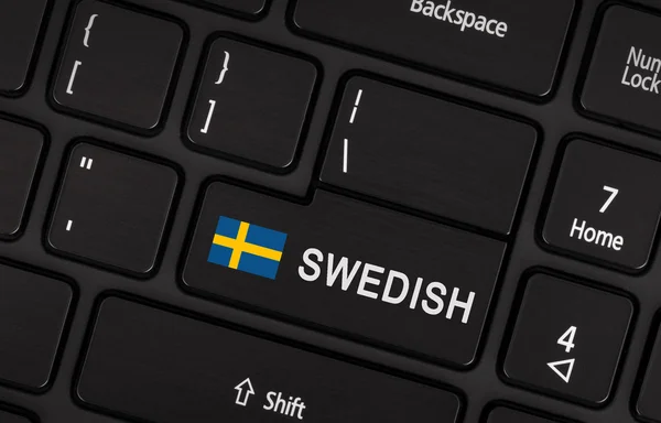 Introduzca el botón con bandera Suecia - Concepto de idioma — Foto de Stock