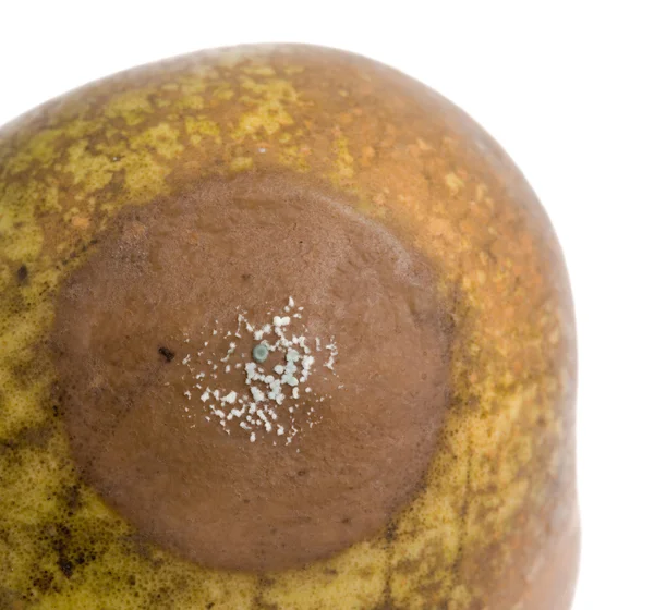 Close up of a pear with white area of fungus growing on it, sele — Stock Photo, Image