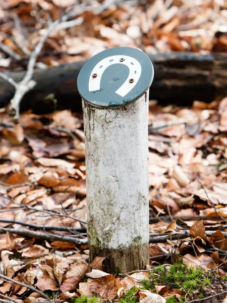 Horsetrack in a dutch forrest — Stock Photo, Image