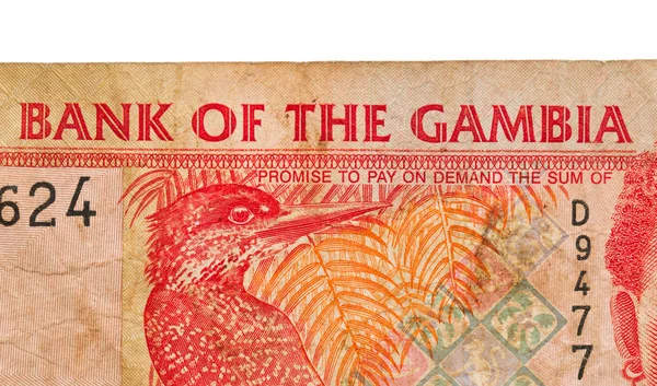5 Gambiya Dalaşı banknot — Stok fotoğraf