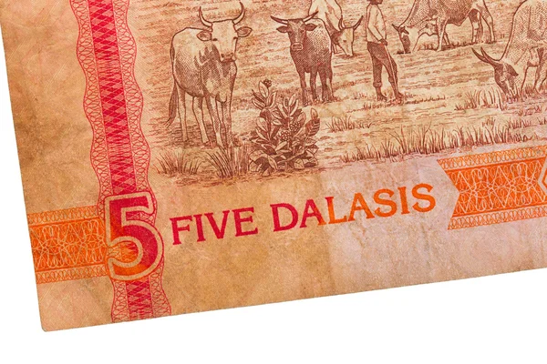 Bankovka 5 gambijské dalasi — Stock fotografie