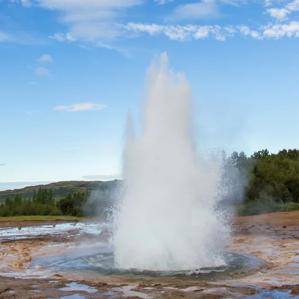 Strokkur виверження в області Geysir, Ісландія — стокове фото