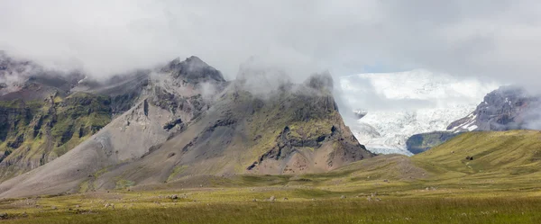 Iceland in the summer — Stock Photo, Image