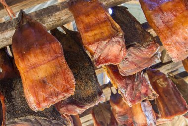 İzlanda'nın fermente köpekbalığı