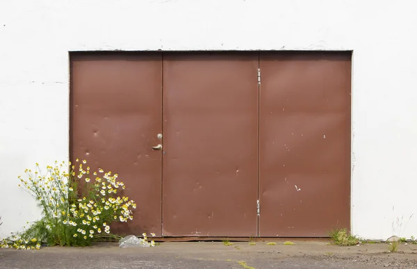 Weathered old door — Stock Photo, Image