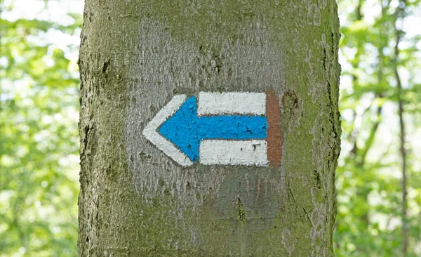 Marking Tourist Route Painted Tree Travel Route Sign — Stock Photo, Image