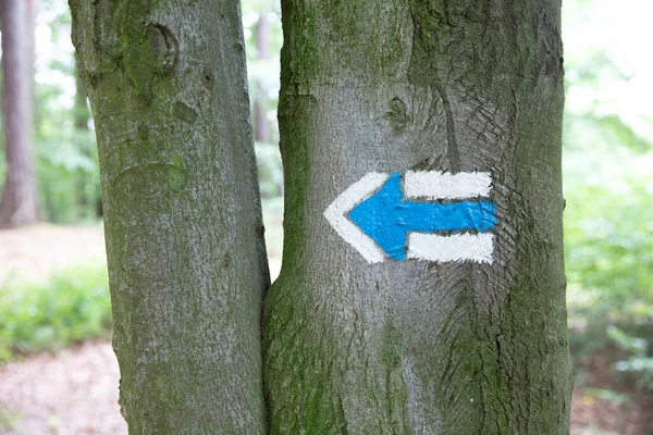 Marking the tourist route painted on the tree - Travel route sign