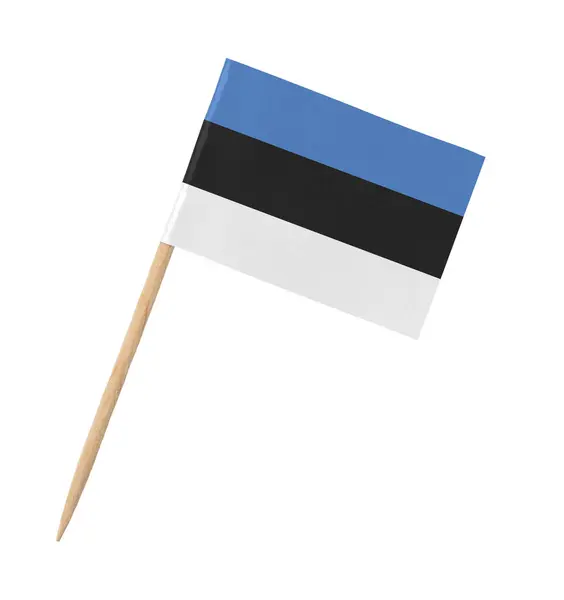 Papel Pequeño Bandera Estonia Palo Madera Aislado Blanco —  Fotos de Stock