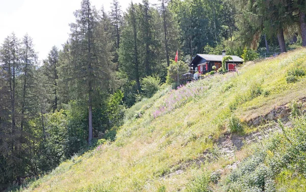 Hutten Zwitserland Houten Hut Bergen — Stockfoto