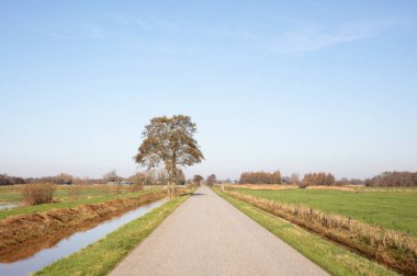 Hollanda manzarasında basit küçük bir yol (Friesland)