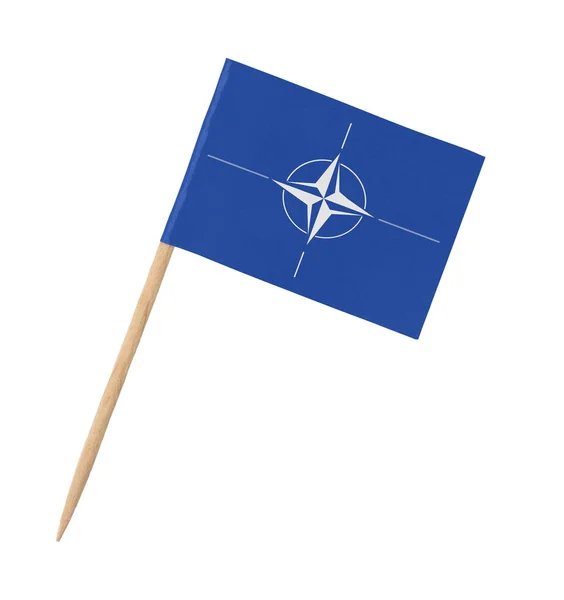 Liten Pappersflagga Nato Träpinne Isolerad Vit — Stockfoto