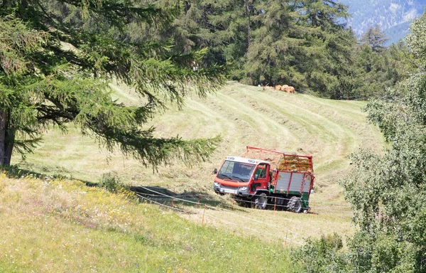 Landbouwvoertuig Gras Verzamelen Zwitserse Bergen — Stockfoto