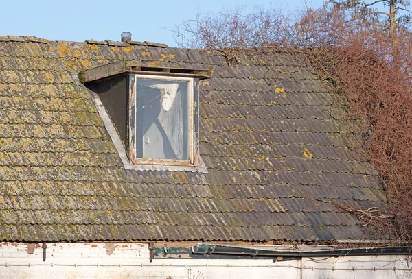 Deferred maintenance of a simple house, the Netherlands