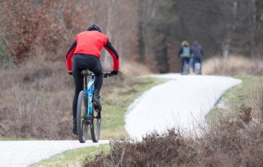 Bisikletçi, Hollanda manzarasında bisiklet sürüyor, seçici bir odak noktası.