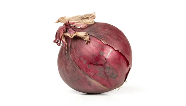 Old Red Onion Isolated White Background — Stock Photo, Image