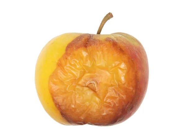 Zgniłe Jabłko Odizolowane Białym Tle — Zdjęcie stockowe