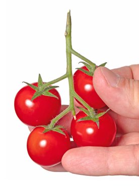 Beyaz arka planda izole edilmiş vişneli domatesleri kapatın.