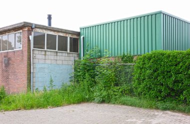 İnşaatın köşesinde büyüyen sarmaşıklı bir fabrika.