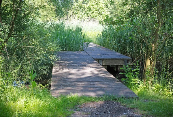 Niski Drewniany Most Mokradłach Holandia — Zdjęcie stockowe