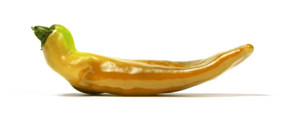 Unnatürliche Orange Süße Spitze Paprika Isoliert Auf Weißem Hintergrund — Stockfoto