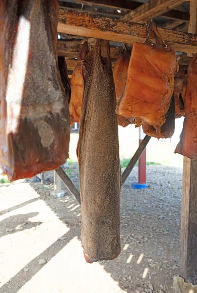 Specialty Iceland Called Hakarl Fermented Shark Open Warehouse — Stock Photo, Image