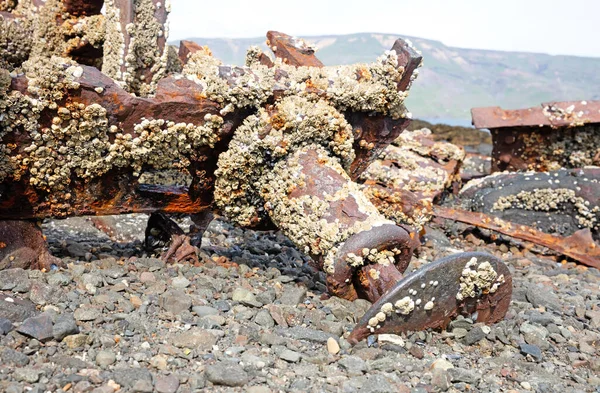 Detalles Antiguo Muelle Una Base Naval Abandonada Islandia Hvtanes Hvalfjrdur — Foto de Stock