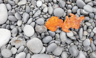 İzlanda Snaefellsnes 'deki kara sahilde bir tekne enkazının paslı kalıntıları.