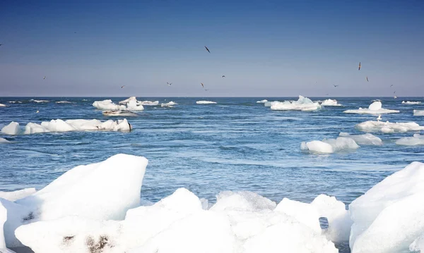 Icebergs Flotando Océano Atlántico Diamond Beach Islandia Sur — Foto de Stock