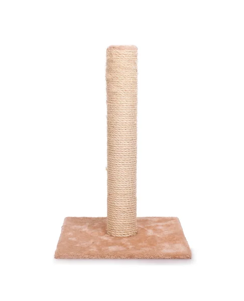 Cat scratching post — Stock Photo, Image