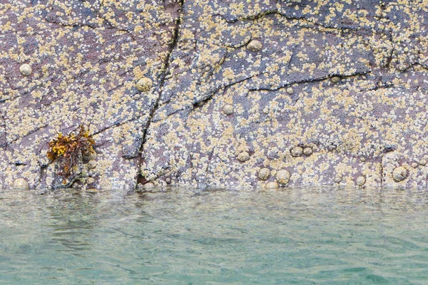 Bir İskoç loch içinde su hattı — Stok fotoğraf