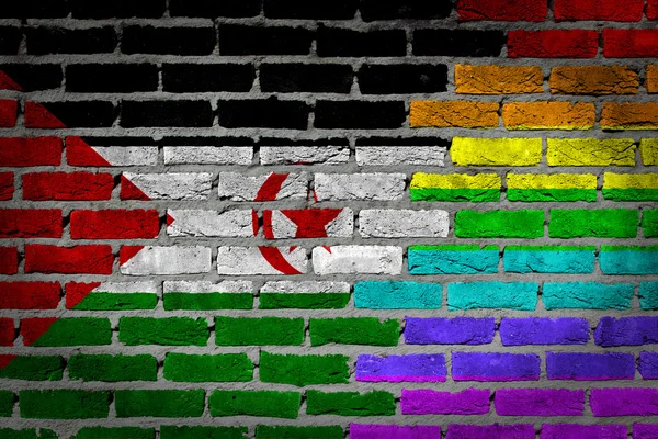 Parede de tijolo escuro - Direitos LGBT - Saara Ocidental — Fotografia de Stock