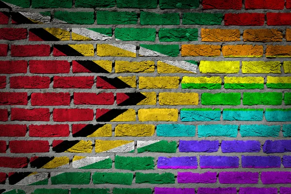 Dark brick wall - LGBT rights - Guyana — Stock Photo, Image