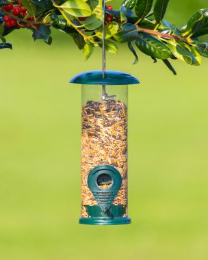 kuş besleyici tohumlar tam