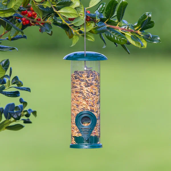 Bird feeder full of seeds — Stock Photo, Image