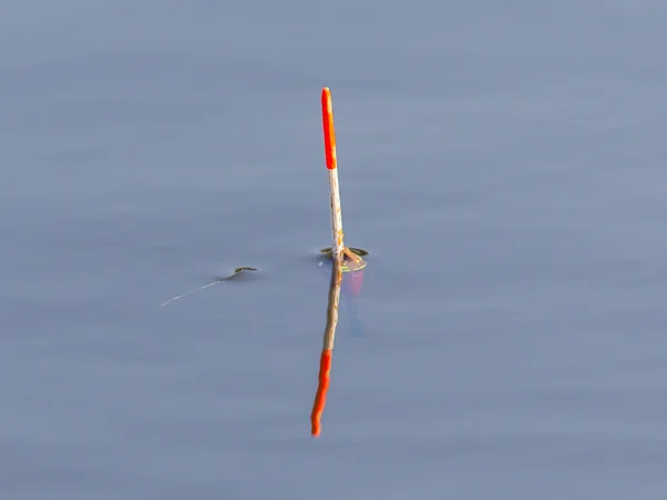 Flotteur de pêche flottant — Photo