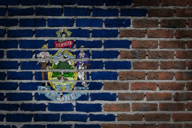 tuğla duvar dokusu ile bayrak